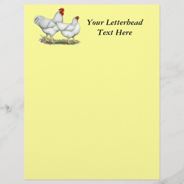White Rock Chickens (Voorkant)