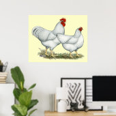 White Rock Chickens Poster (Thuiskantoor)
