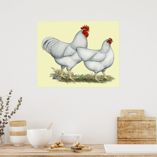White Rock Chickens Poster (Keuken)