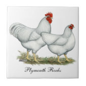 White Rock Chickens Tegeltje (Voorkant)