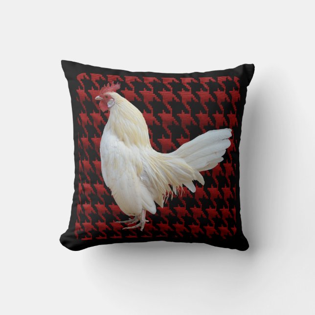 WHITE ROCK KUSSEN (Voorkant)