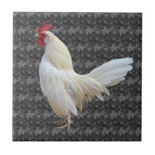 WHITE ROCK ROOSTER TEGELTJE