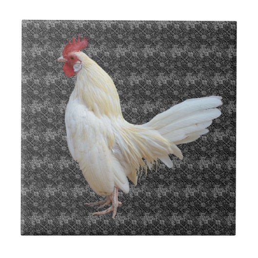 WHITE ROCK ROOSTER TEGELTJE (Voorkant)