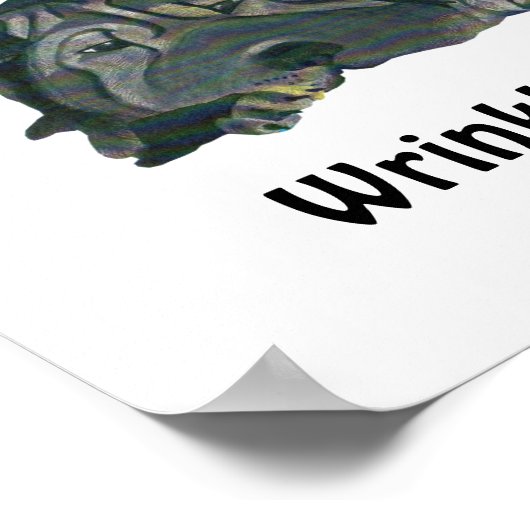 White "Rockin" My Wrinkles Black Sharpei Poster (Hoek)