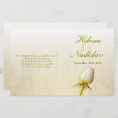 White roodroodbruin (Voorkant / Achterkant)