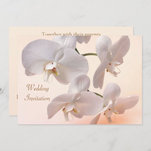 White - roomorchideeën Weddenschap Kaart (Voorkant / Achterkant)