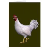 White Rooster (Voorkant)
