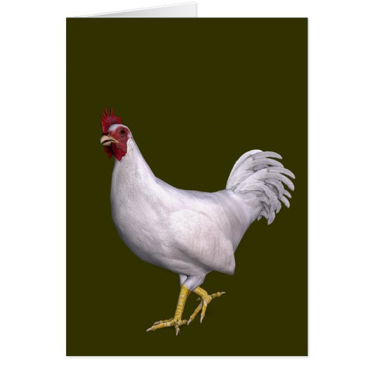 White Rooster (Voorkant)