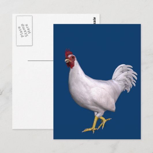 White Rooster Briefkaart (Voorkant / Achterkant)