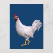 White Rooster Briefkaart (Voorkant)