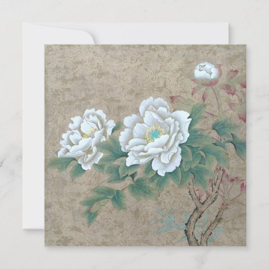 White Rose (Voorkant)