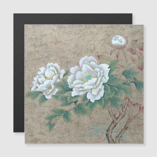 White Rose (Voorkant / Achterkant)