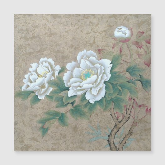White Rose (Voorkant)