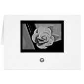 White Rose (Achterkant Horizontaal)