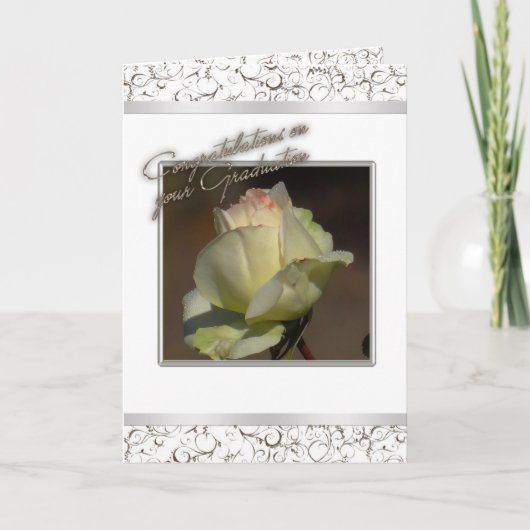 White Rose Afstuderen Kaart (Voorkant)
