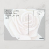 White Rose and Butterfly Dank je Briefkaart (Achterkant)