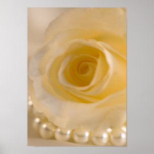 White Rose and Pearls Poster