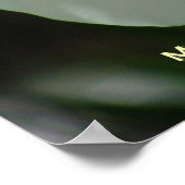 White Rose Ballerina Poster (Hoek)