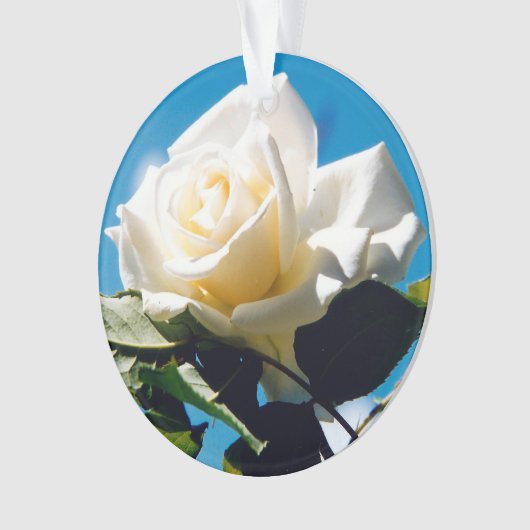 White Rose Beauty Ornament (voorkant)