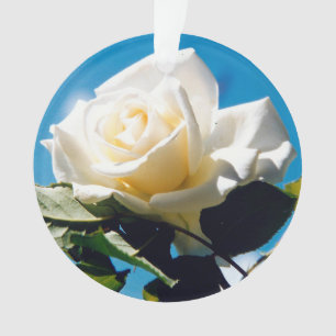 White Rose Beauty Ornament