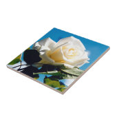 White Rose Beauty Tegeltje (Zijkant)