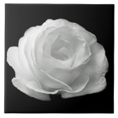 White Rose Black Background Ceramic Tile Tegeltje (Voorkant)