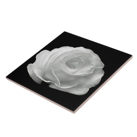 White Rose Black Background Ceramic Tile Tegeltje (Zijkant)
