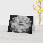 White Rose Black en White Art Note Kaart (Gele Bloem)