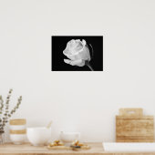 White Rose Black en White Photographic Art Print (Keuken)