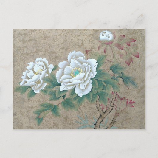 White Rose Briefkaart (Voorkant)