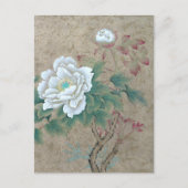 White Rose Briefkaart (Voorkant)