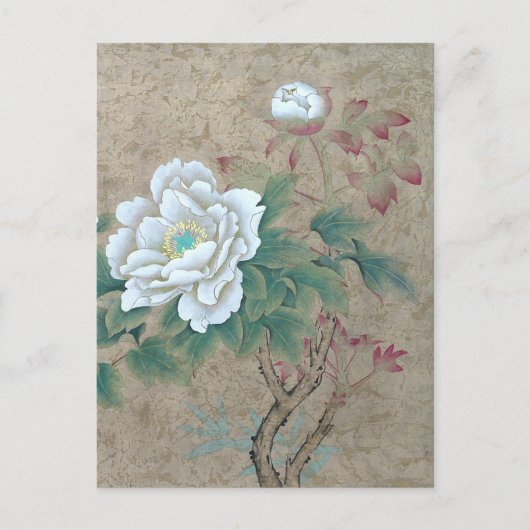 White Rose Briefkaart (Voorkant)