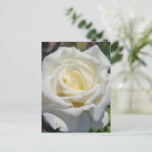White Rose Briefkaart (Staand voorkant)
