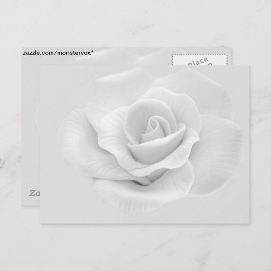 White Rose Briefkaart (Voorkant / Achterkant)