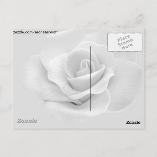 White Rose Briefkaart (Achterkant)