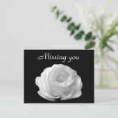 White Rose Briefkaart (Staand voorkant)