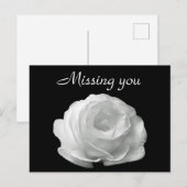 White Rose Briefkaart (Voorkant / Achterkant)