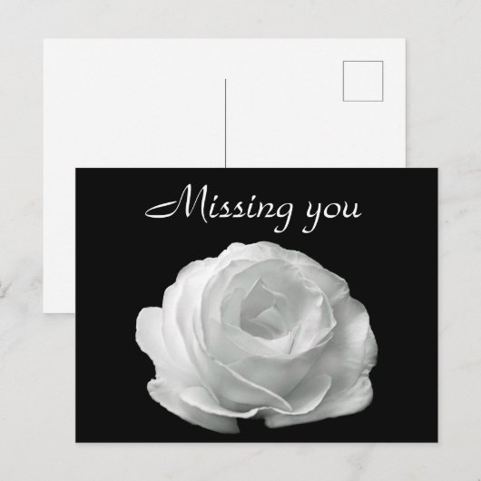 White Rose Briefkaart (Voorkant / Achterkant)