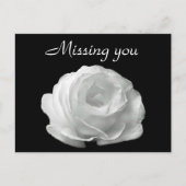 White Rose Briefkaart (Voorkant)