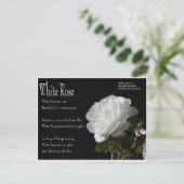 White Rose Briefkaart (Staand voorkant)