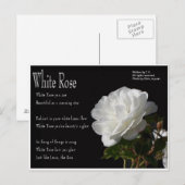White Rose Briefkaart (Voorkant / Achterkant)
