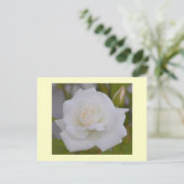 White Rose Briefkaart (Staand voorkant)
