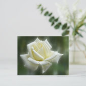 White Rose Briefkaart (Staand voorkant)