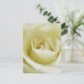 White Rose Briefkaart (Staand voorkant)