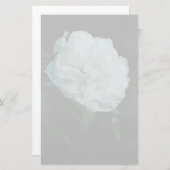 White Rose Briefpapier (Voorkant / Achterkant)