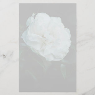 White Rose Briefpapier