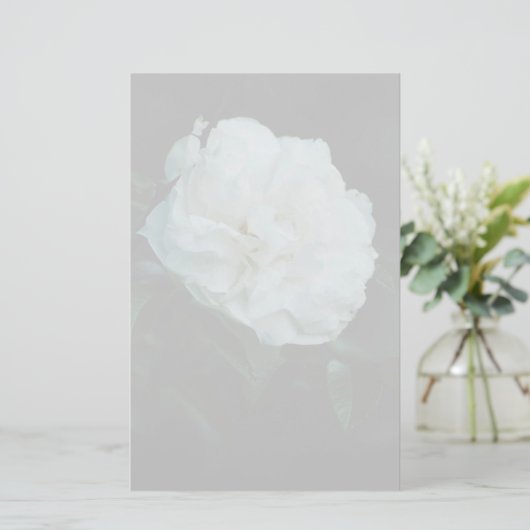 White Rose Briefpapier (Staand voorkant)