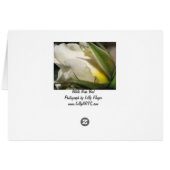 White Rose Bud Kaart (Achterkant Horizontaal)