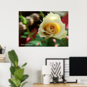 White Rose Bud Poster (Thuiskantoor)