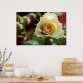 White Rose Bud Print/Poster - Selecteer uw Lijst Poster (Keuken)